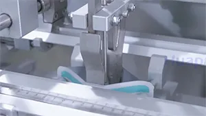 Envasadora de bolsas prefabricadas 180NG para polvo