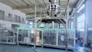 Envasadora horizontal de bolsas stand up, llenado con 1 boquilla