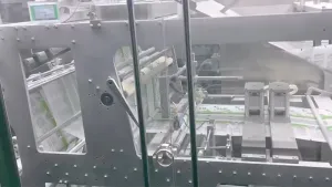 Envasadora horizontal de bolsas stand up, llenado con 2 boquillas