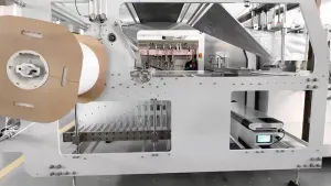 Envasadora horizontal para bolsas stand up con zipper, llenado con 1 boquilla