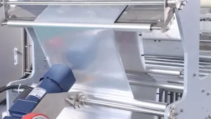 Envasadora horizontal de bolsa stand up con spout, llenado con 2 boquillas