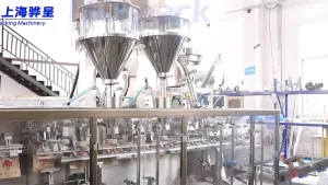 Envasadora de bolsas prefabricadas por servo motor (llenado con 1 boquilla)