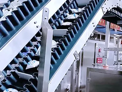 Envasadora de bolsas prefabricadas, llenado con 1 boquilla