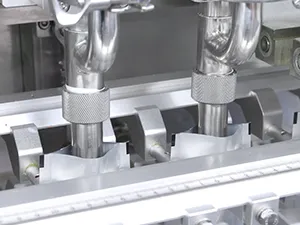 Envasadora de bolsas con boquilla (spout) por servo motor, llenado con 2 boquillas