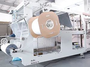 Envasadora de bolsas zipper en rollo por servo motor, llenado con 2 boquillas