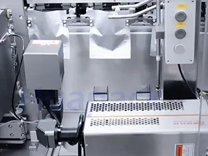 Envasadora de bolsas zipper en rollo por servo motor, llenado con 2 boquillas