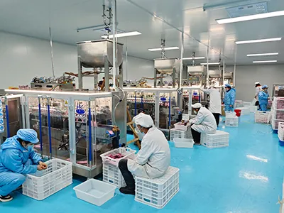 Proyectos de clientes